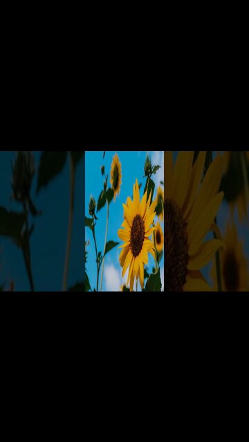 music - Nightfall INOSSI #shorts #shortvideo #shortsvideo #music #calm #relaxsation