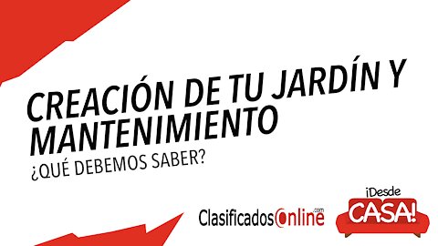 ¿Cómo crear el jardín perfecto? - ClasificadosOnline.com