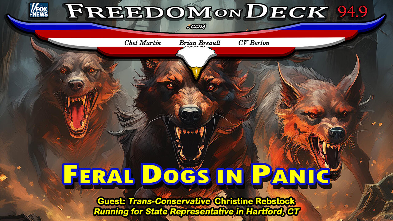 Feral Dogs in Panic