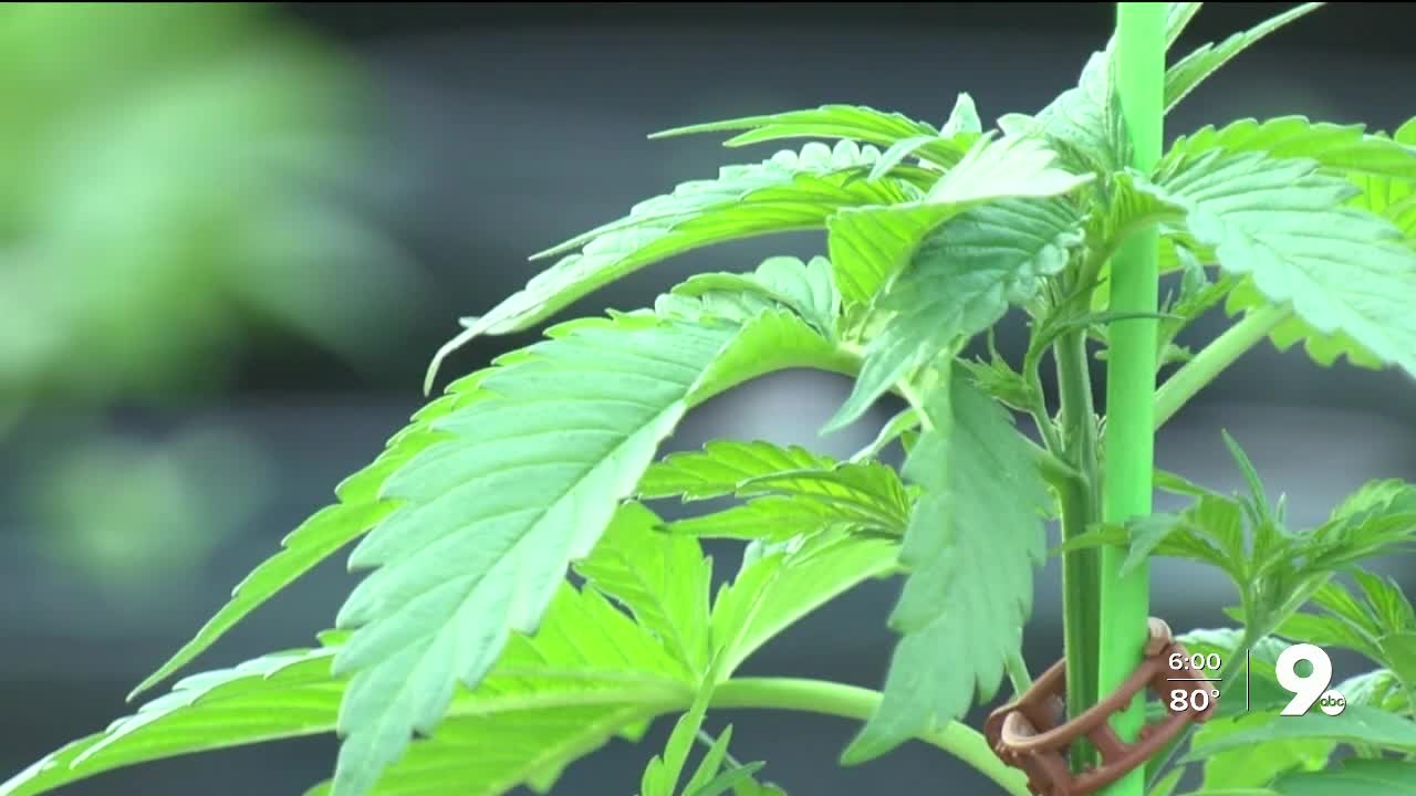 Pima Courts reduced minor drug convictions before Prop 207
