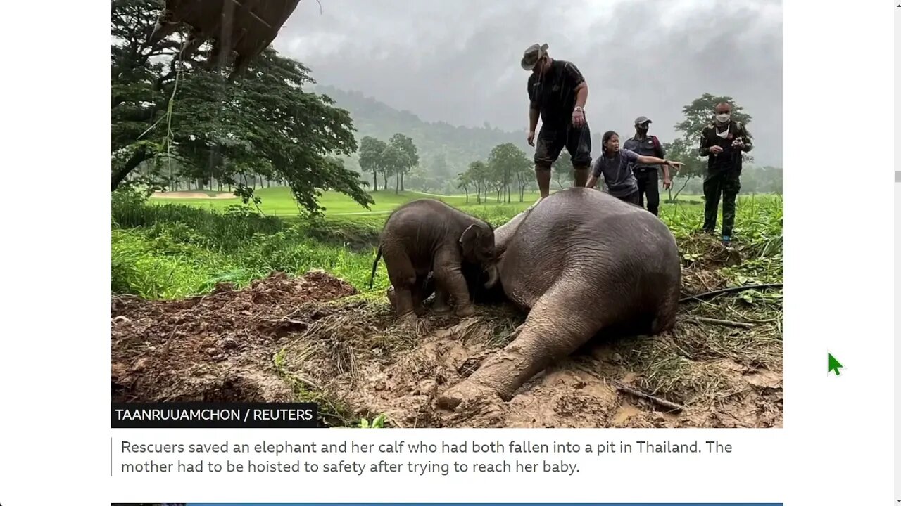 BBC：圖片中的 2022 年：來自世界各地的引人注目的照片