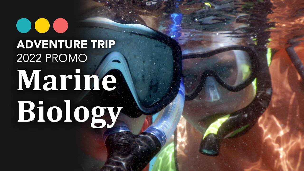 What to expect on the 2022 Marine Biology Trip with E4F!