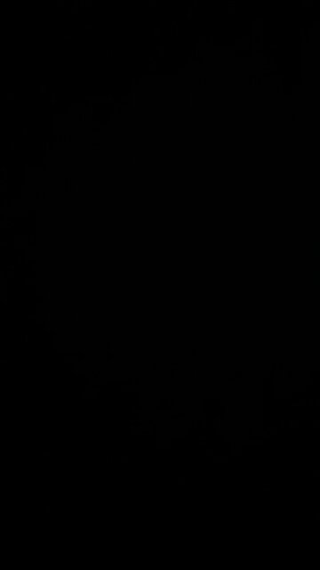 Hunter Biden is a foreign agent