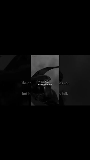 Life's Greatest Gift