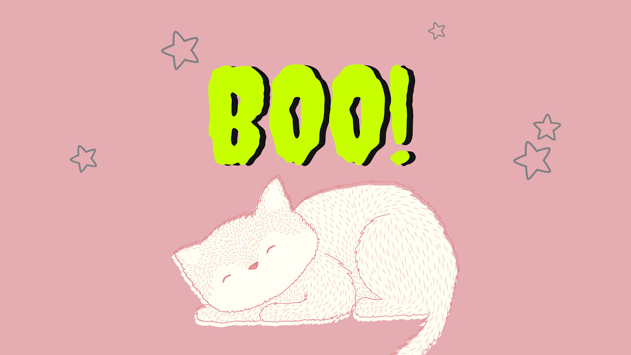 Funny Cat 💙💗