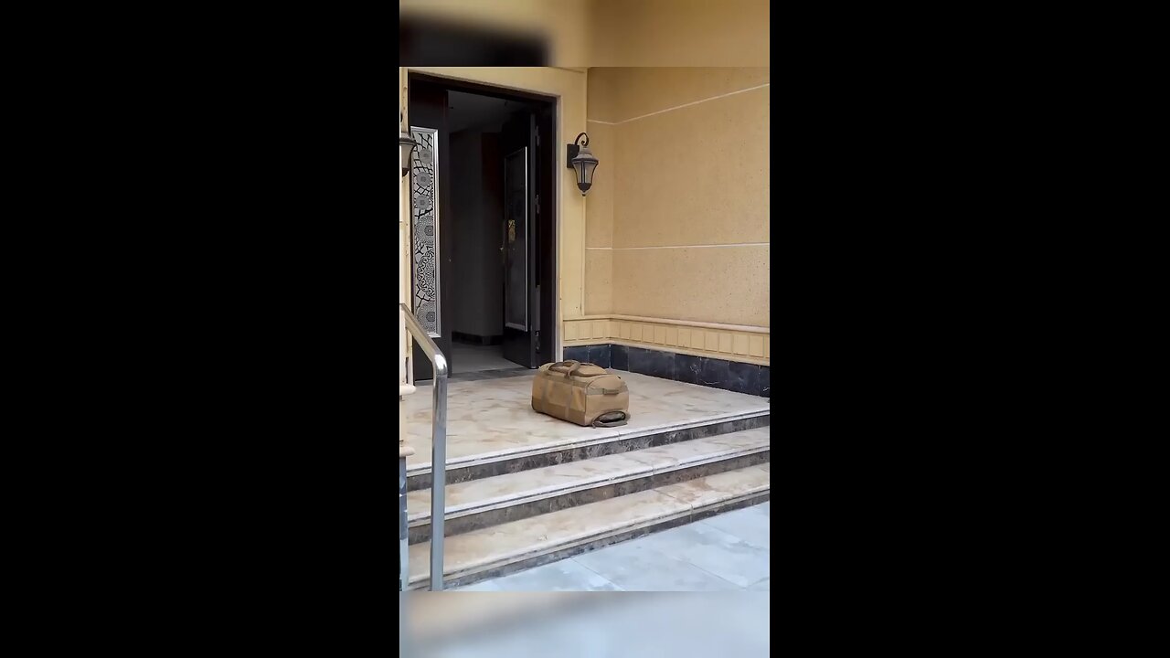 Most funny video