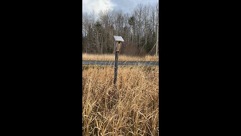 Time to clean the bird houses