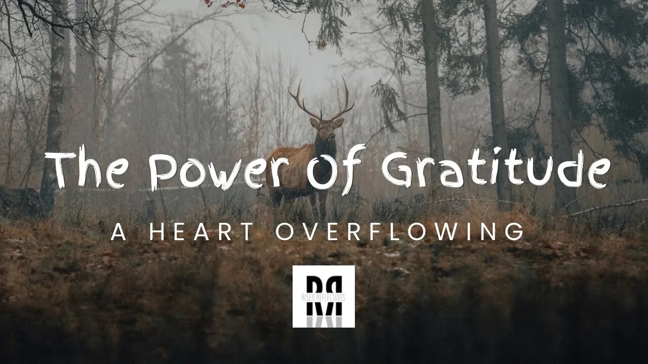 The Power Of Gratitude: A Heart Overflowing