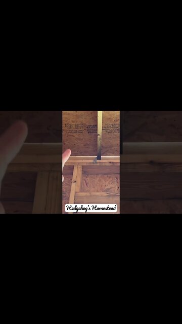 Construction issues #hedgehogshomestead