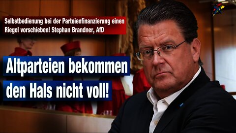 Selbstbedienung bei der Parteienfinanzierung einen Riegel vorschieben! Stephan Brandner, AfD