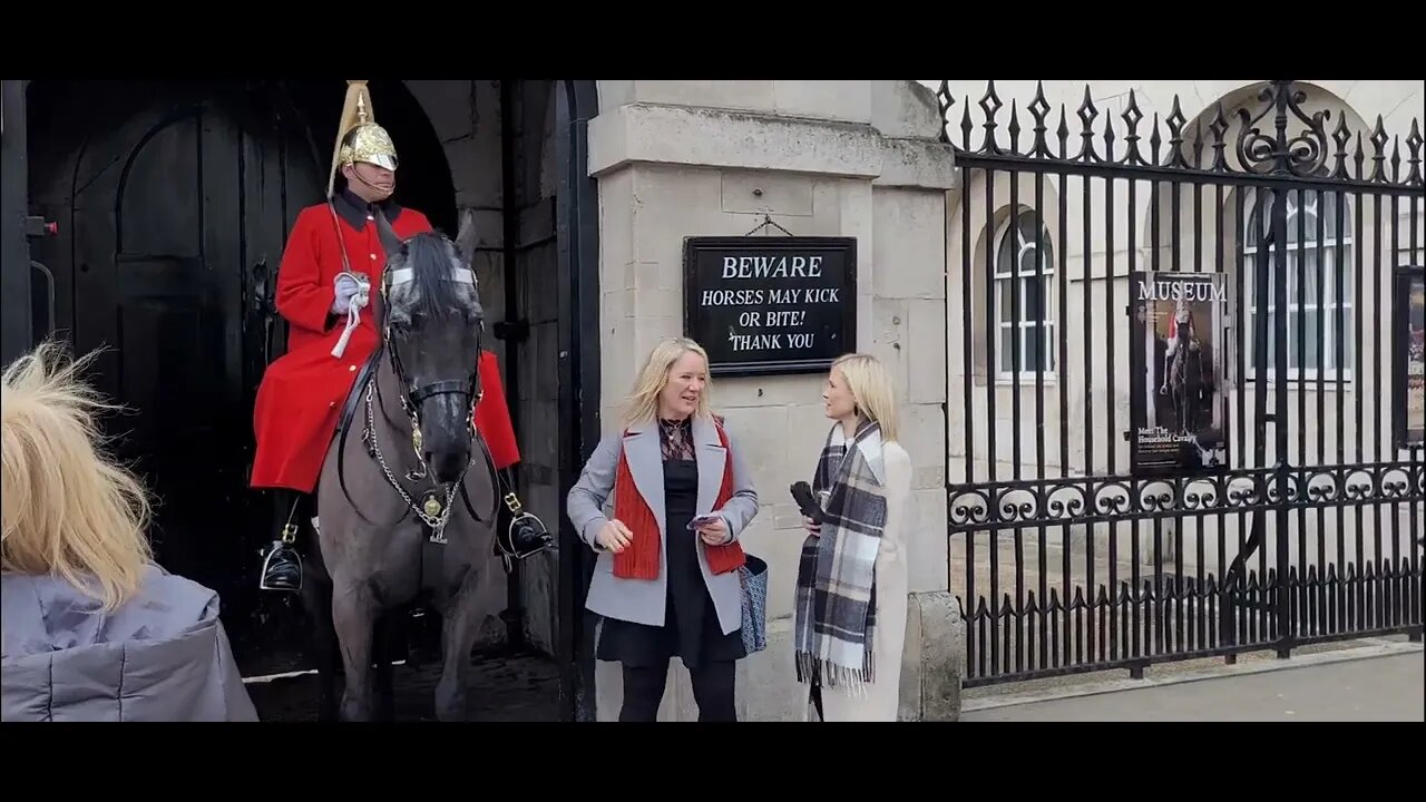 The horse wanted to get in the picture #horseguardsparade