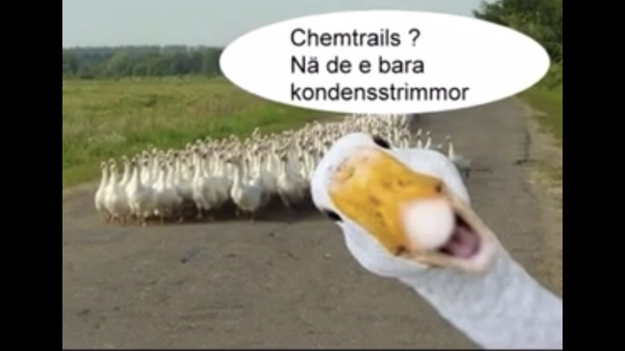 Bara kondensstrimmor