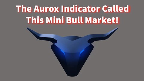 The Aurox Indicator Called This Mini Bull Market