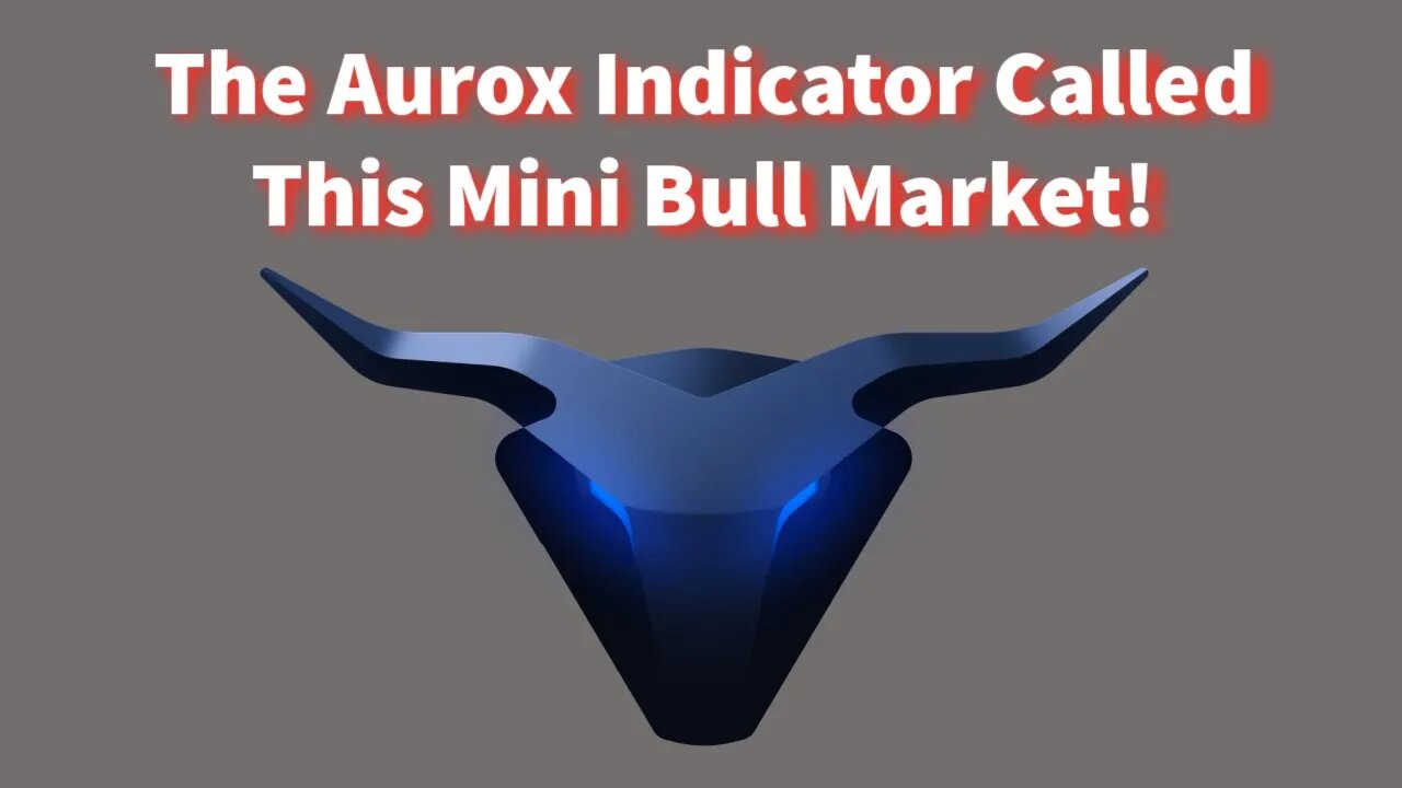 The Aurox Indicator Called This Mini Bull Market