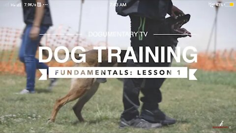 Dog brain training in just 15 day Watch video