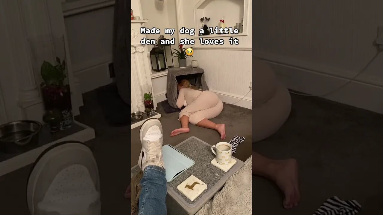 MADE MY DOG A BED AND SHE LOVES IT!