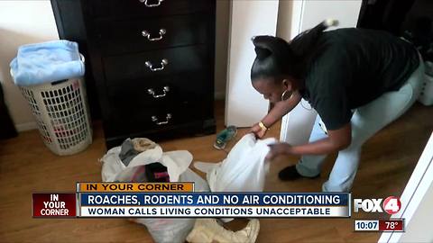 Broken AC, rodents plague Ft. Myers apartment complex