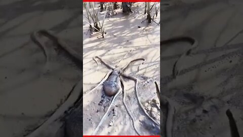 Amazing Shorts with trending mind blowing video #shorts #viral