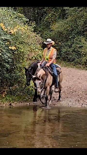 Gemma ponying Ashur across the Creek at Waterloo - 26 Sept 2023