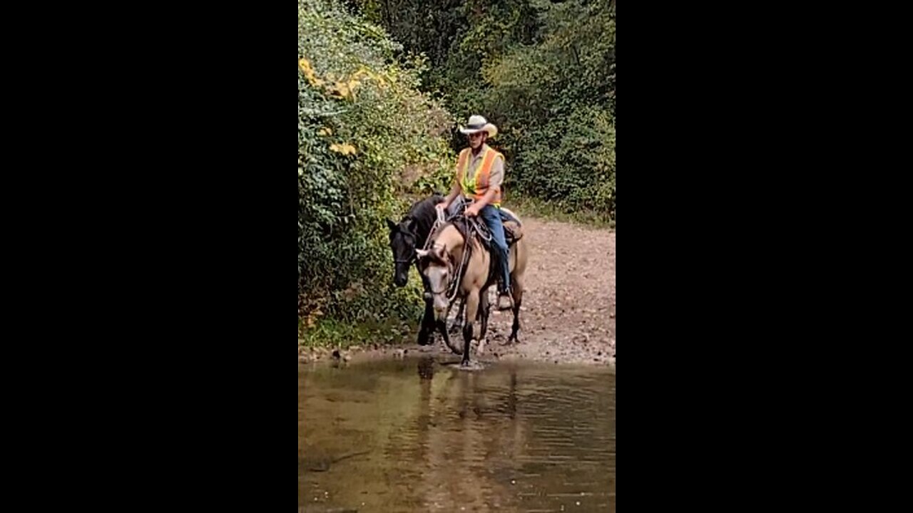 Gemma ponying Ashur across the Creek at Waterloo - 26 Sept 2023