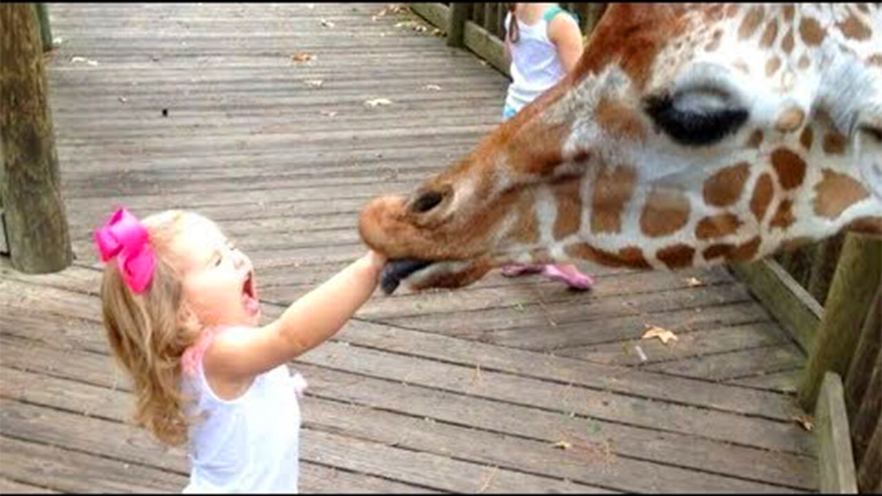 FORGET CATS! Funny KIDS vs ZOO ANIMALS are WAY FUNNIER! Animal funny video