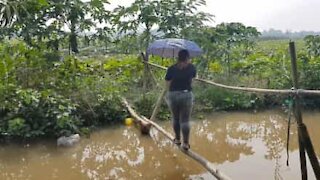 Jovem tenta atravessar "Ponte dos macacos" por cima de rio