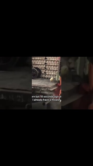 This is the plot of Free Bird