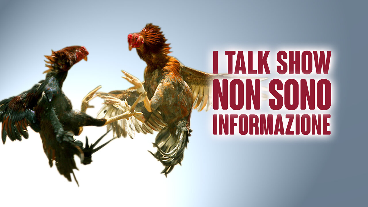 I TALK SHOW NON FANNO INFORMAZIONE