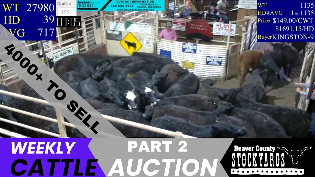 4/18/2023 - Part 2 of Beaver County Stockyards Livestock Auction