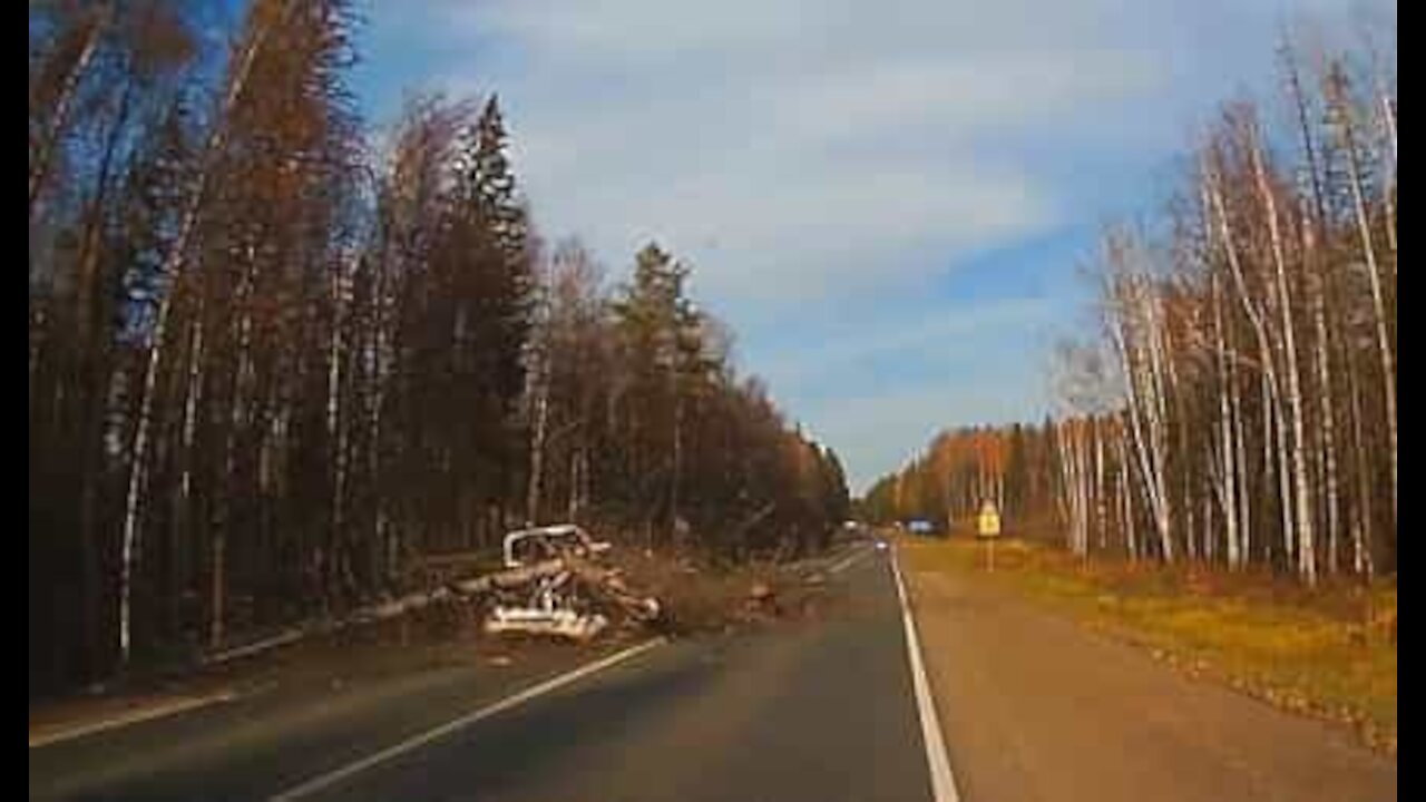 Árvore cai em cima de carros em estrada na Rússia