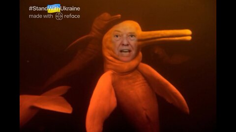 The Ultimate Donald Trump Dolphin Meme! (28+,Adult Video) 🐬