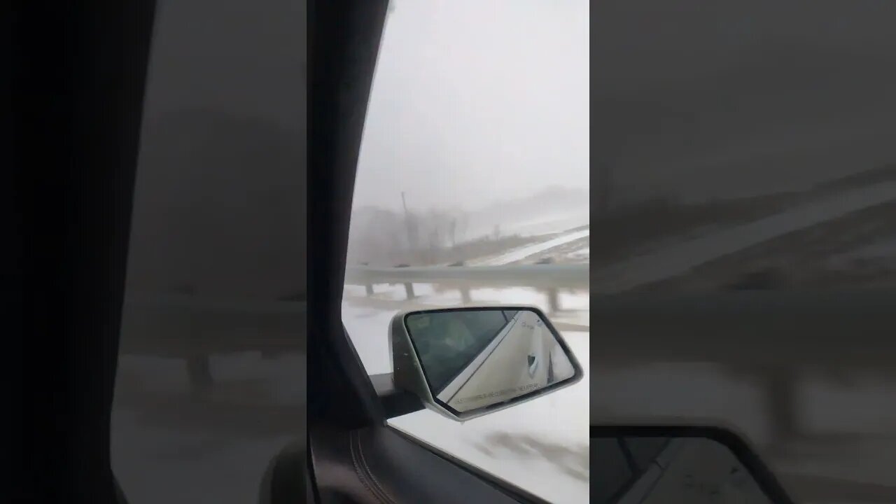 In the Storm We Go