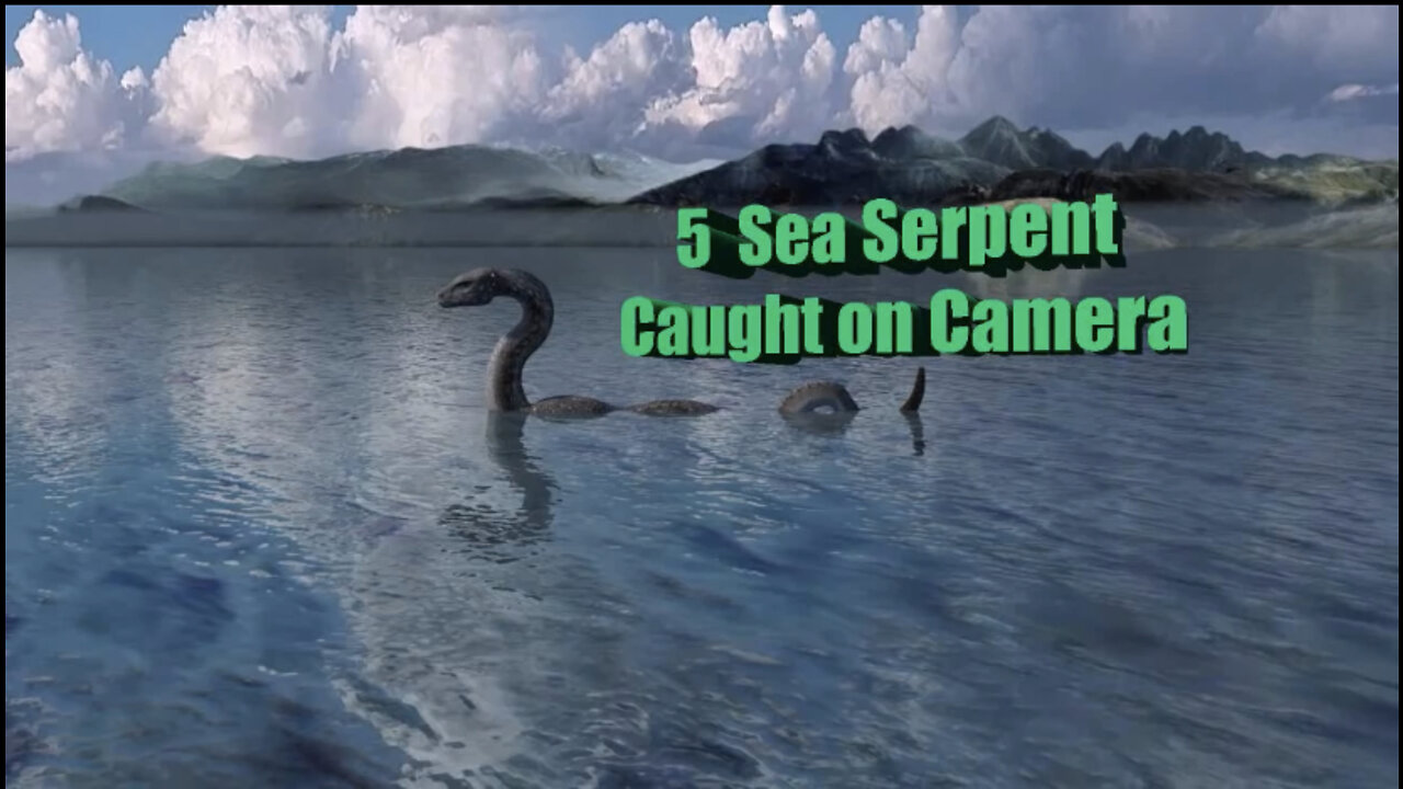 5 SEA SERPENT CAUGHT ON CAMERA