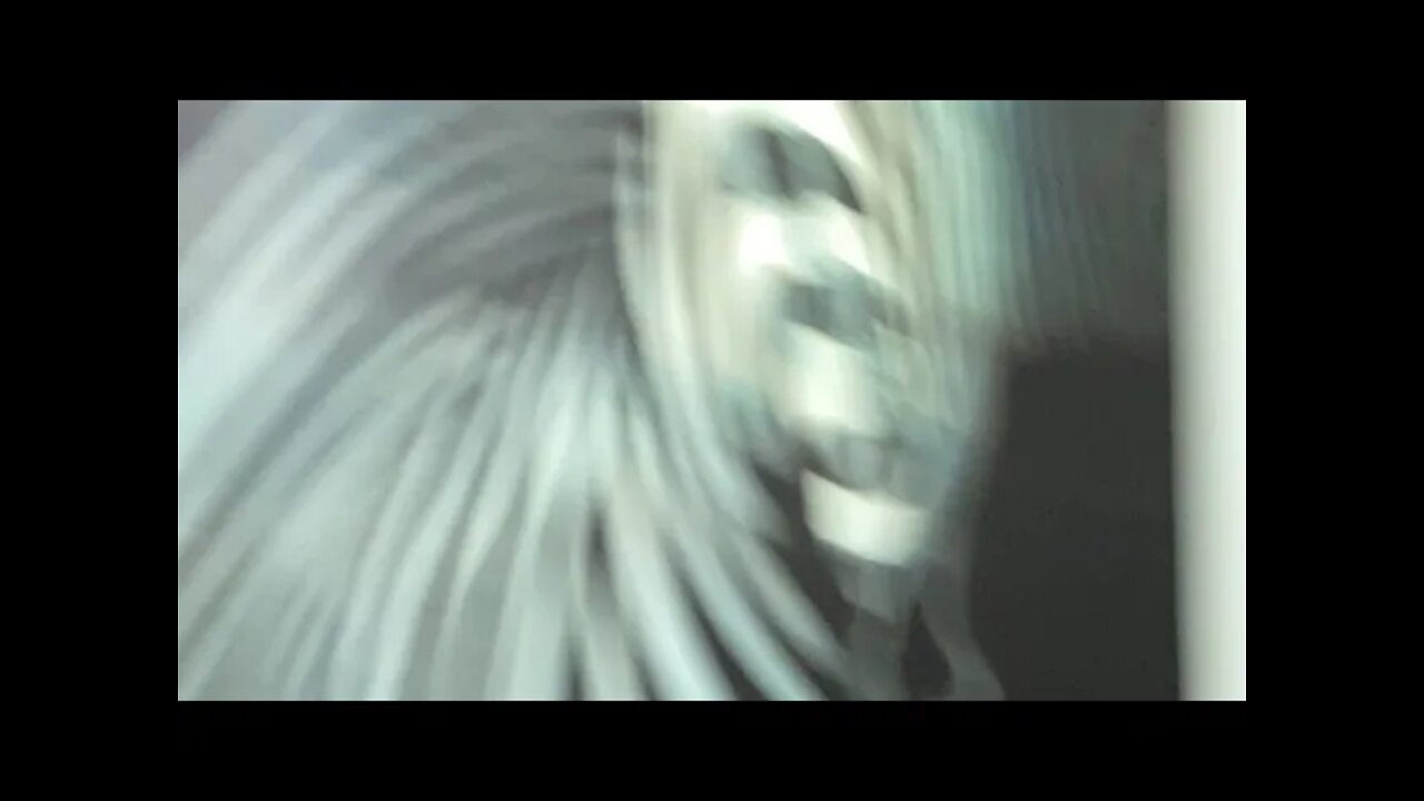 When God tells you to take a step back