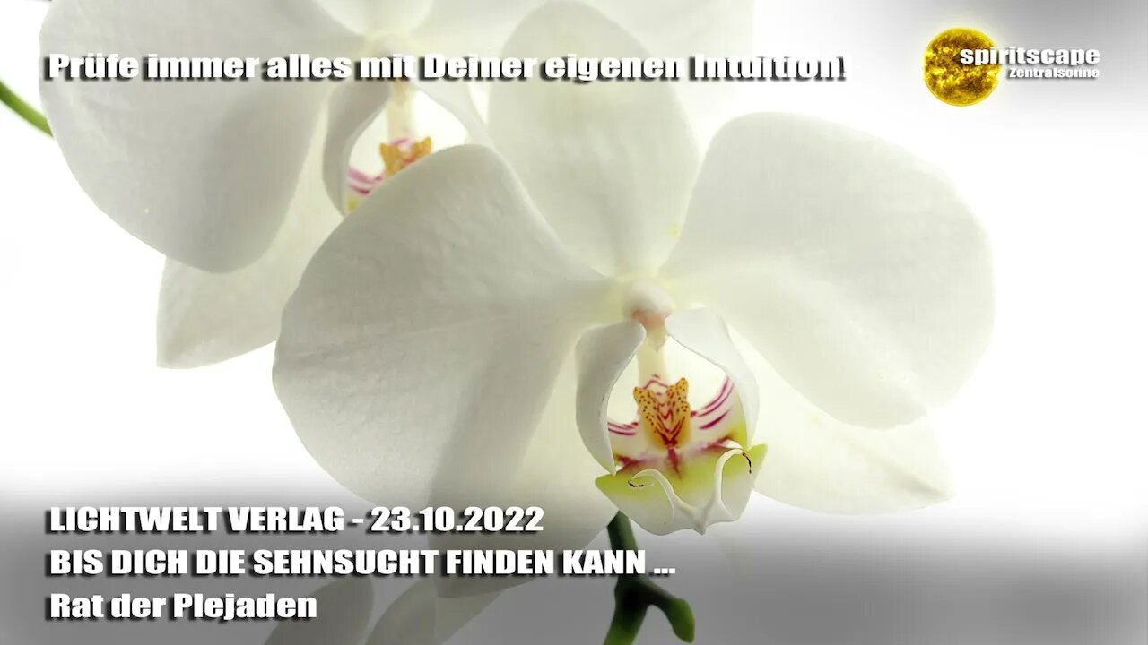 BIS DICH DIE SEHNSUCHT FINDEN KANN … - Rat der Plejaden ~ LWV
