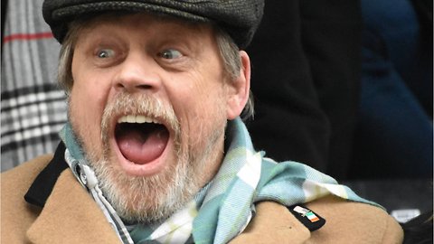 Mark Hamill Honors Daisy Ridley In Heartfelt Birthday Post