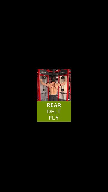 CRUCIFIX FLY | STANDING REAR DELT FLY | Shoulder Workout #shorts