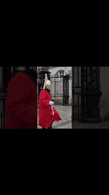 Kings guard in the rain #horseguardsparade
