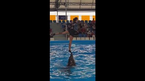 Meri Nikli Jaye Jaan Hui Duniya#viral #dolphin🐬🐬#dolphinlove #trending #viralvideo #shorts#