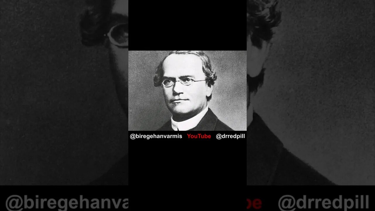 Erkek gelişimi ve başarısında "Monk Mode" un önemi Bölüm 2 #drredpill #kırmızıhap #biregehanvarmis