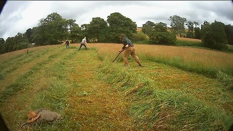 Northern Scythe Fair 2023 Mowing