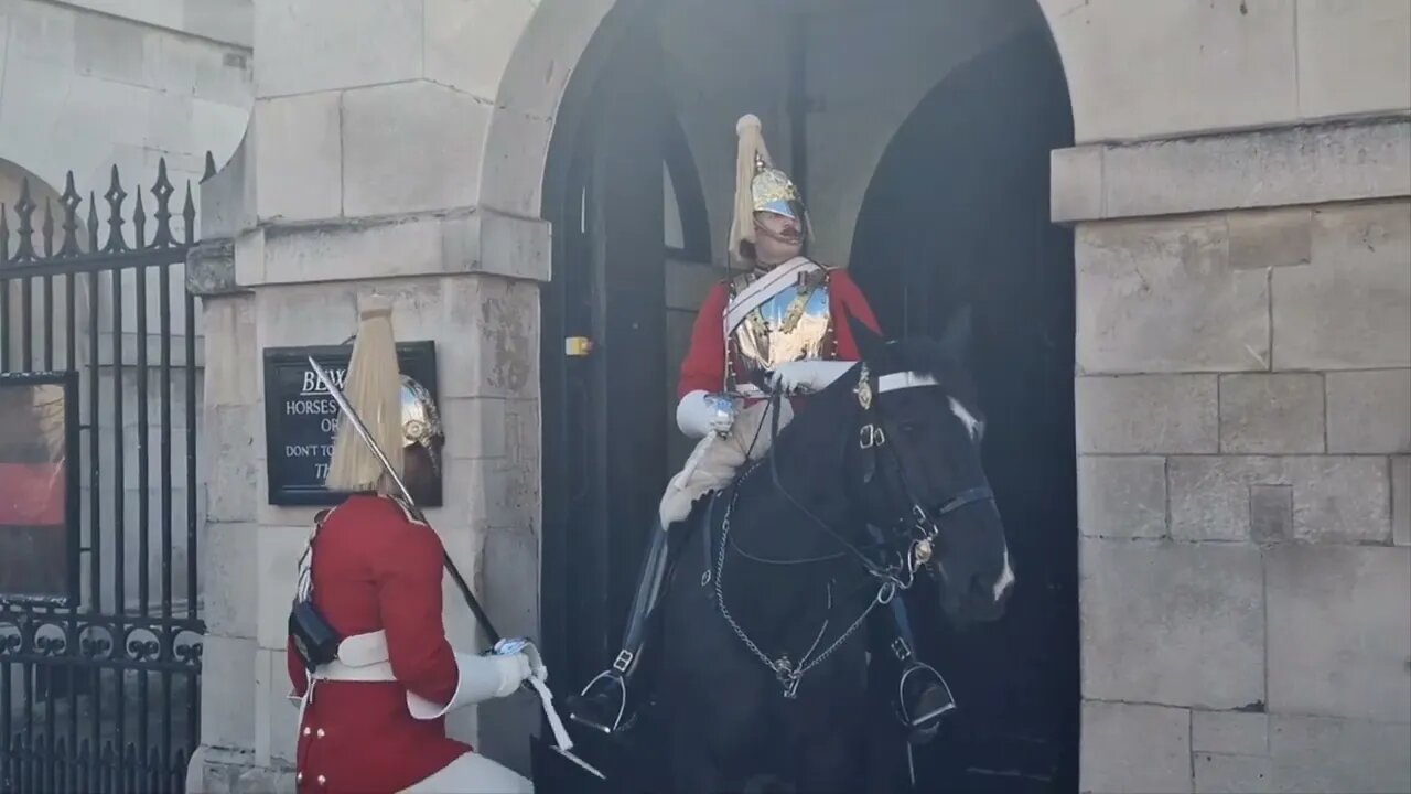 The guard with the loudest shout GET OFF THE REIN #horseguardsparade