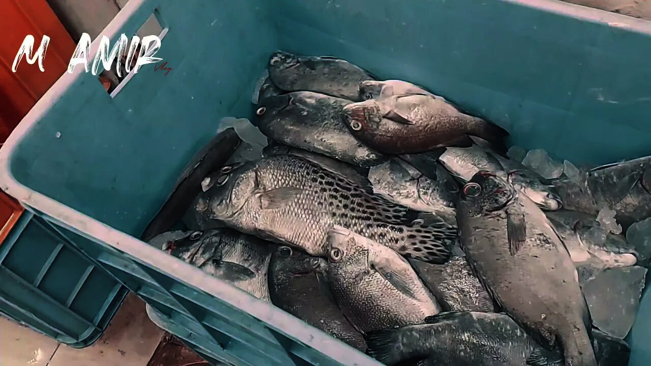 My new Vlog in Fish Market