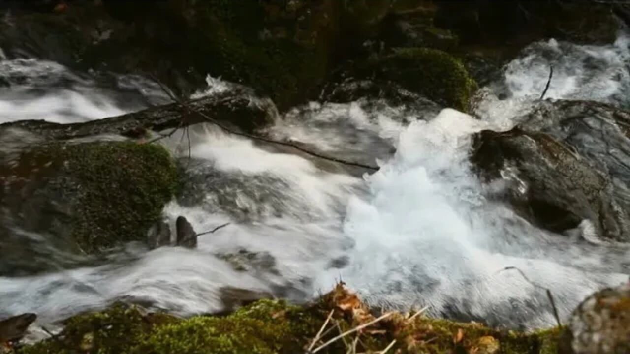 Nature Sounds To Help You Sleep, Study, and Relax.