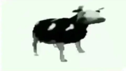 Cow dancing in Russian for 1 hour