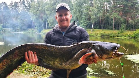 BIG CAT FISH ON THE RIVER