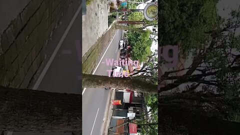 Waiting Time