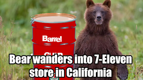 Bear🐻 wanders into 7 Eleven🥤 store in California