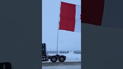 Mandate FREEDOM 🇨🇦