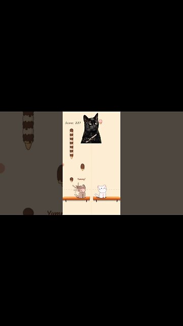 cat singing believer song #shorts #music #song